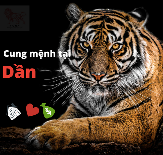 Cung mệnh tại Dần