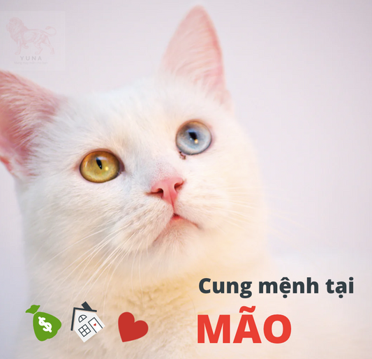 Cung mệnh tại Mão