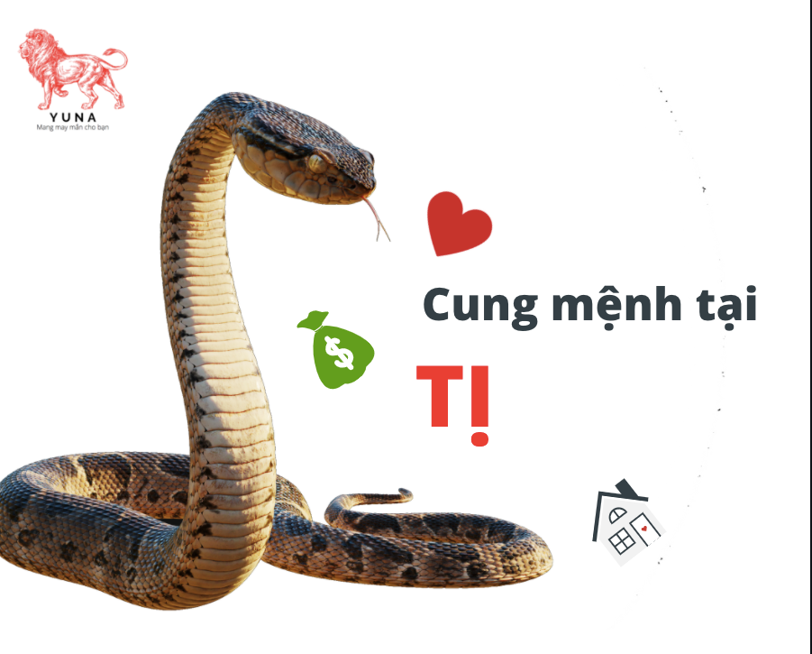 Cung mệnh tại Tị