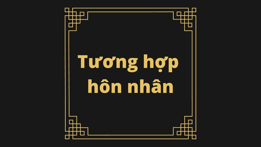 04 Tương hợp hôn nhân (chỉ đánh giá sau khi có đăng kí kết hôn)